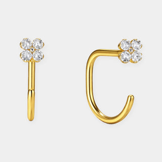 Louise Carter — studio