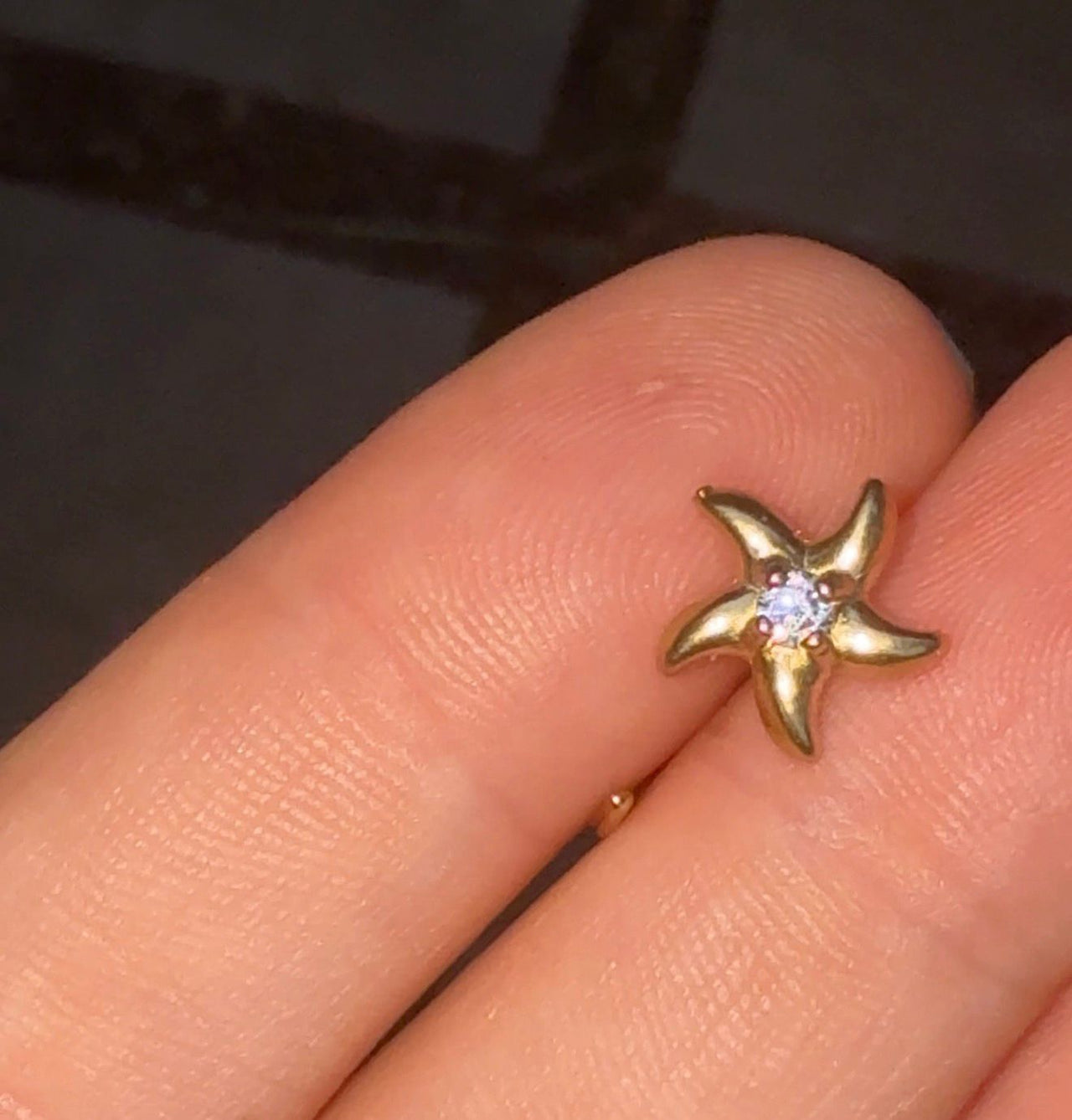 Sea Star Comfort Earrings